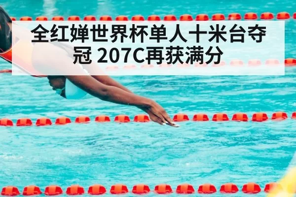 全红婵世界杯单人十米台夺冠 207C再获满分