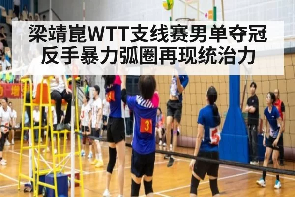 梁靖崑WTT支线赛男单夺冠 反手暴力弧圈再现统治力